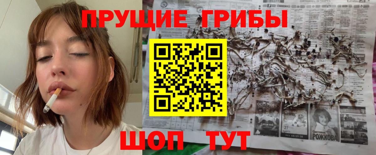 Сыктывкар  Галлюциногенные грибы GOLDEN TEACHER  Вход с VPN  Псилоцибиновые грибы Psilocybine cubensis 
